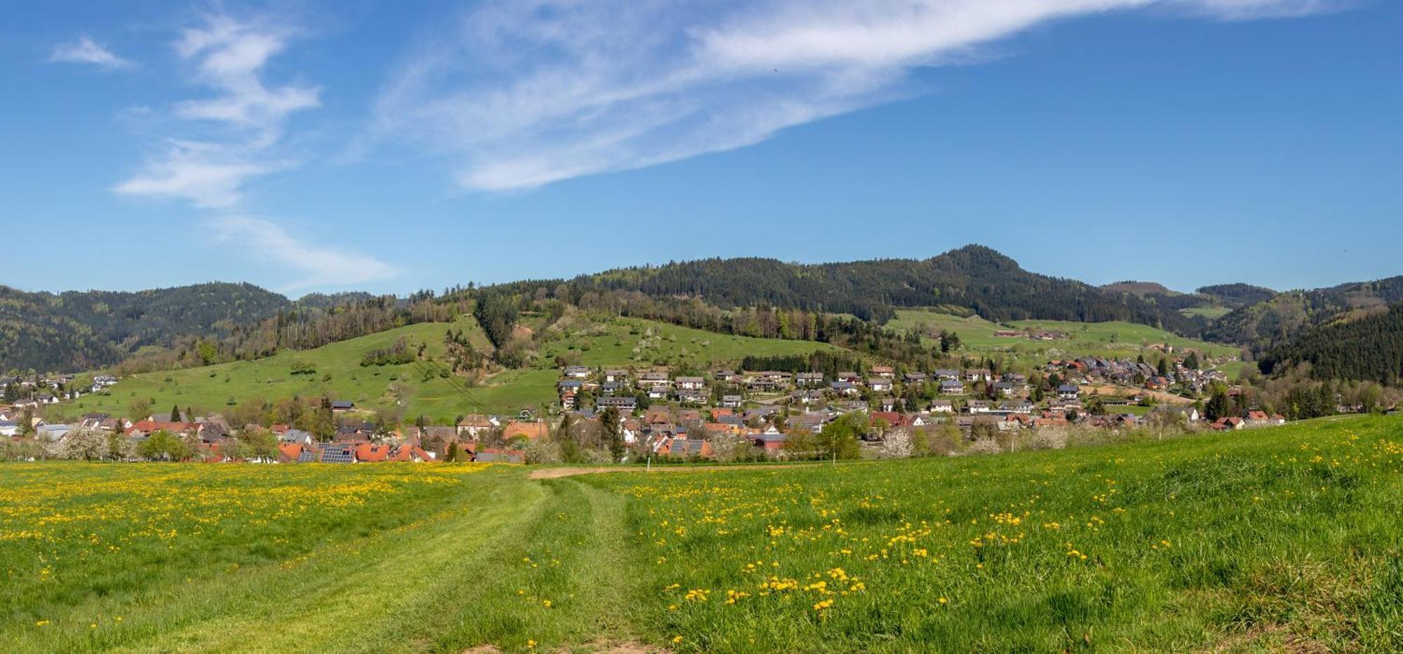 Appartamento Haus Irmgard Zell am Harmersbach Esterno foto