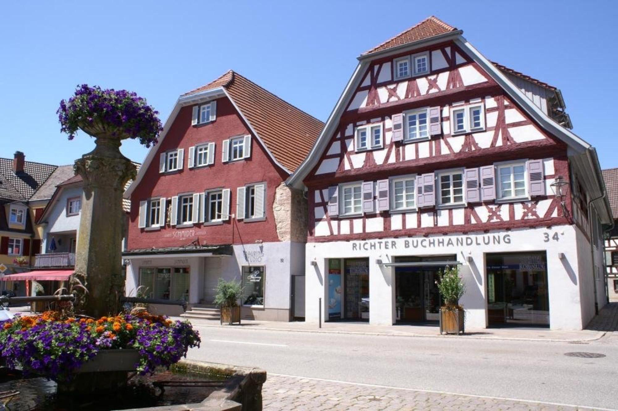 Appartamento Haus Irmgard Zell am Harmersbach Esterno foto